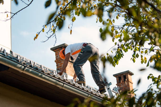 Best Roof Moss and Algae Removal  in Hillsville, VA