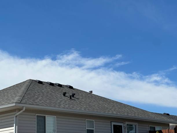 Best Green or Eco-Friendly Roofing Solutions  in Hillsville, VA